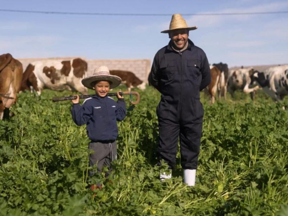 不只雀巢、聯合利華！Evian母公司耗時10年完成全球治理改造，為何「永續」成了食品業進軍國際的唯一通行證？